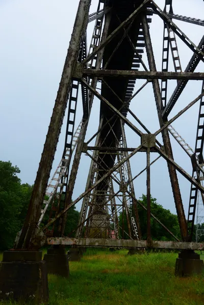 DSC_2207 (Large).JPG